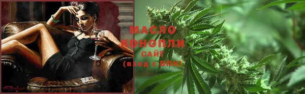гидра Горняк