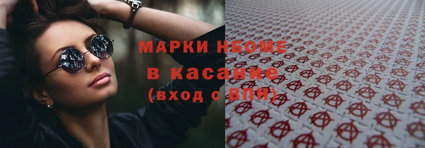 гидра Горняк