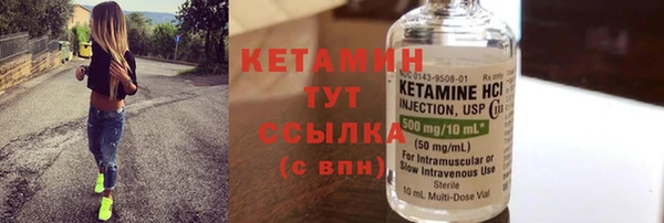 гидра Горняк