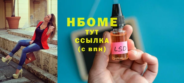 гидра Горняк