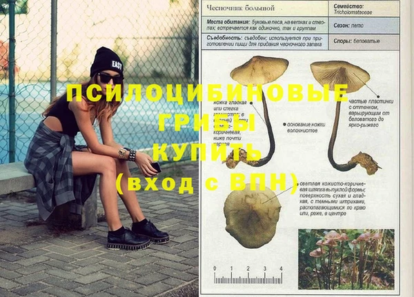 прущая мука Горнозаводск