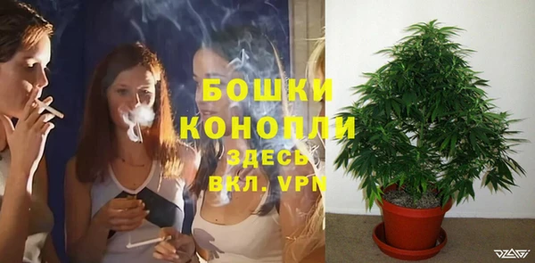 марки lsd Гусев