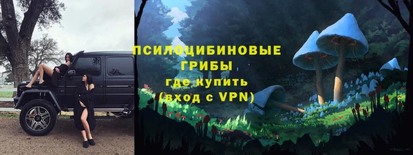 гидра Горняк