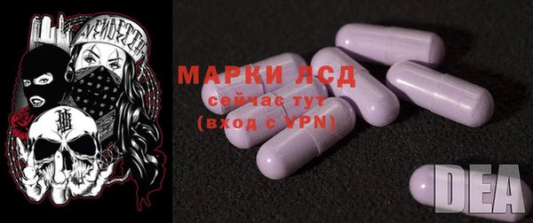 гидра Горняк