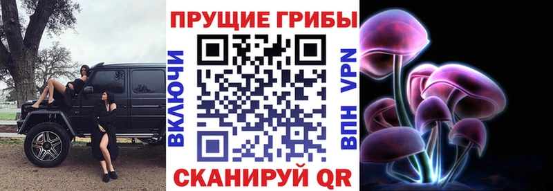 Галлюциногенные грибы MAGIC MUSHROOMS  Купить  Рубцовск 